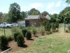 landscape services landscape services